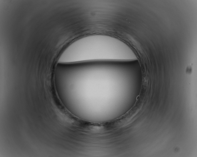 X0000101470552200807071221