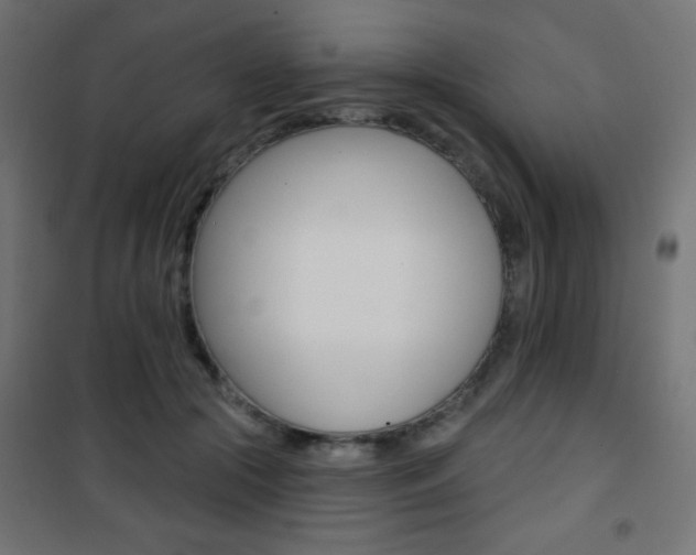 X0000101470553200807071221