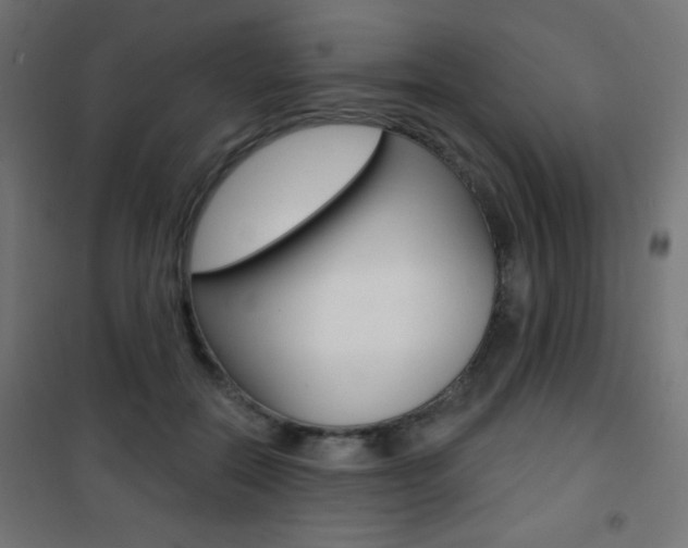 X0000101470554200807071221