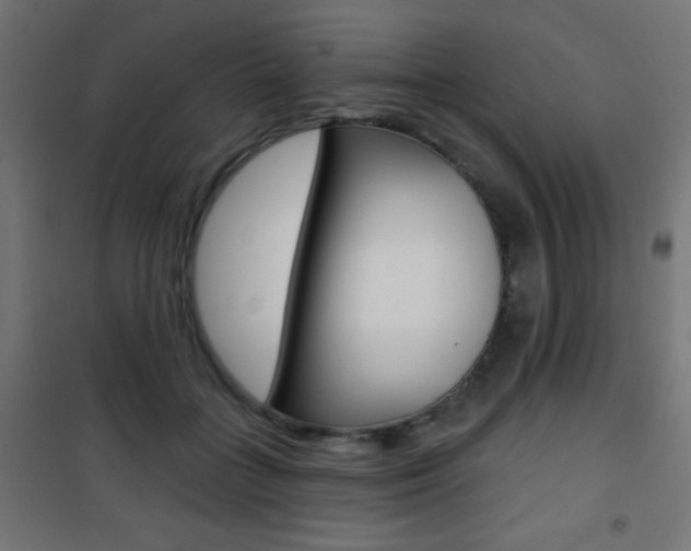 X0000101470555200807071221