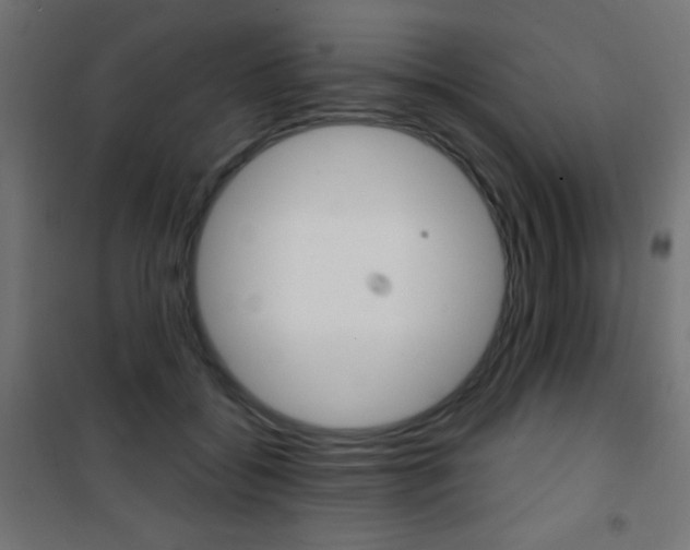 X0000101470556200807071221