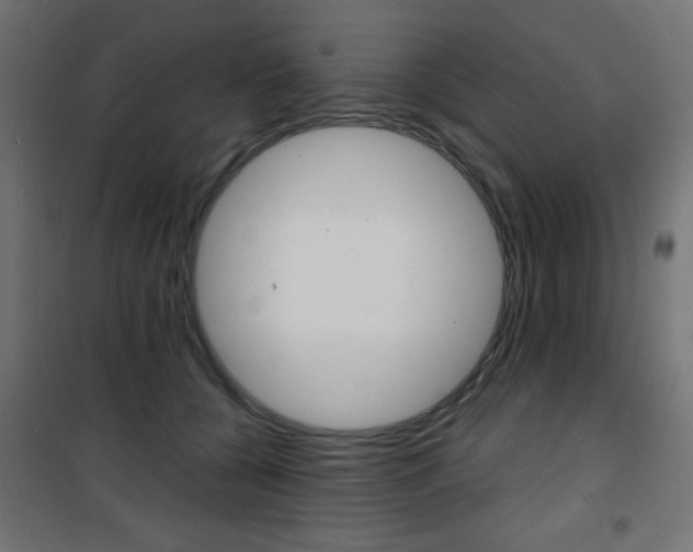 X0000101470560200807071222