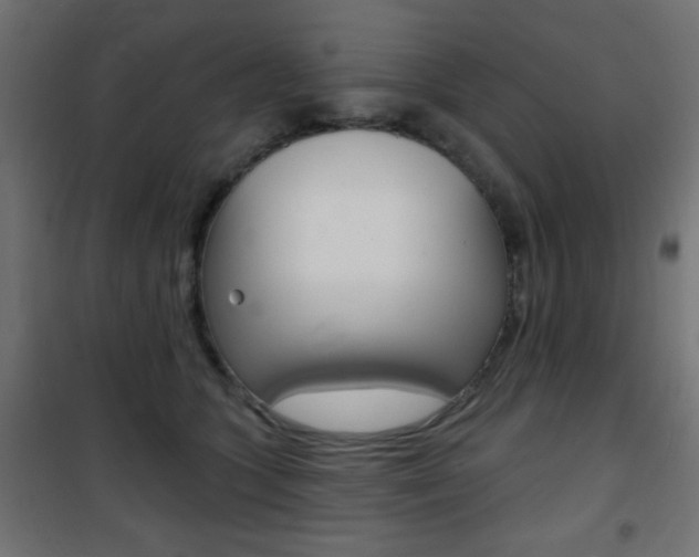 X0000101470563200807071222