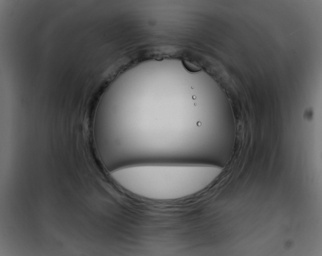 X0000101470564200807071222