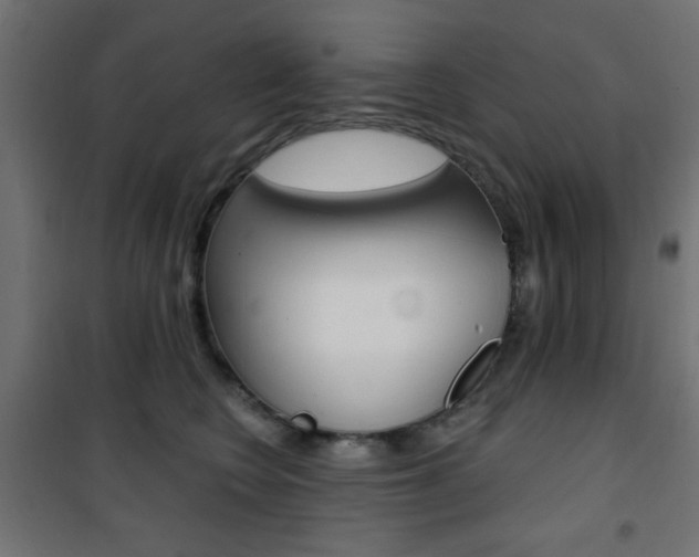 X0000101470566200807071222