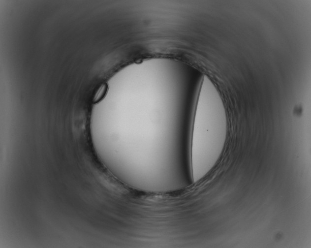 X0000101470567200807071222