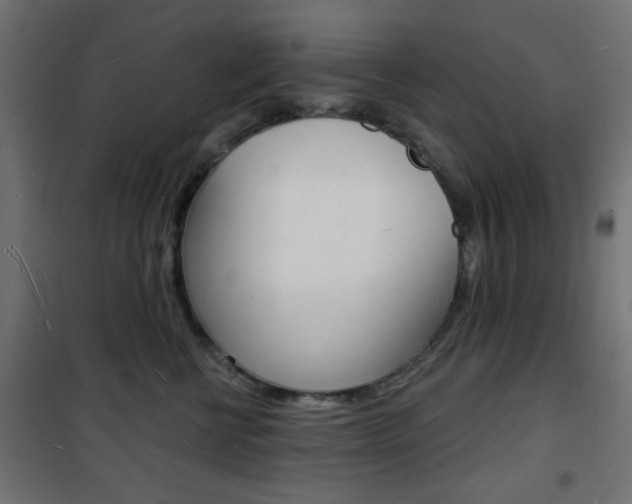 X0000101470570200807071222