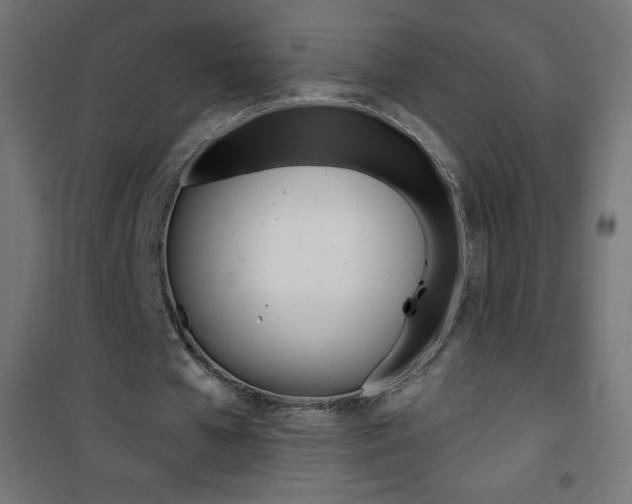 X0000101470577200807071221