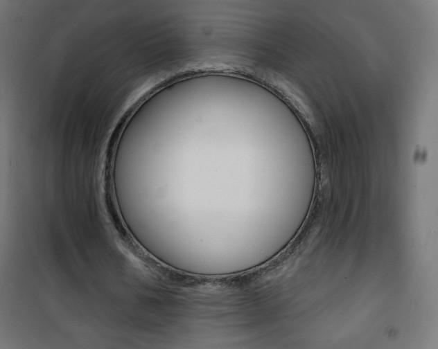 X0000101470578200807071221