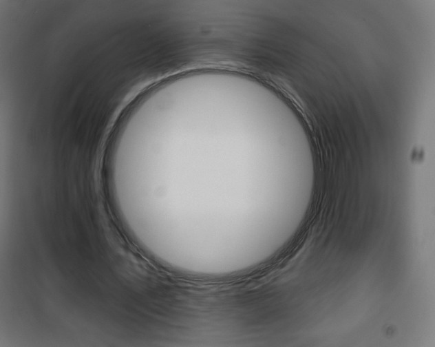 X0000101470579200807071221