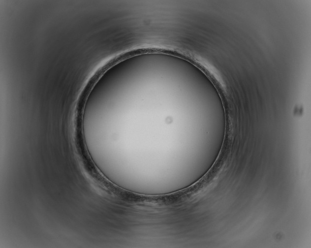 X0000101470580200807071221