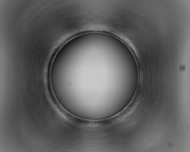 X0000101470581200807071221