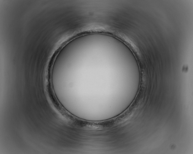 X0000101470582200807071221