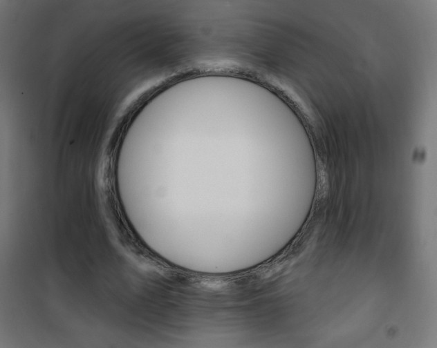 X0000101470583200807071221