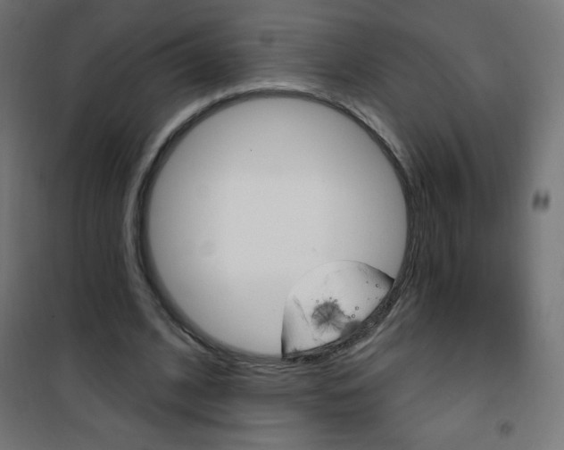 X0000101470584200807071221