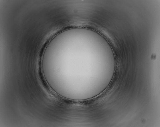 X0000101470586200807071221