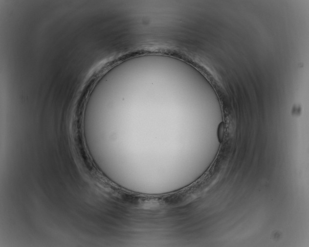 X0000101470587200807071221