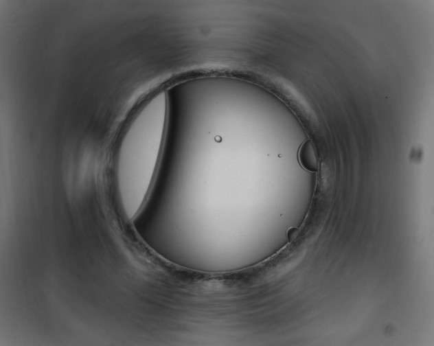 X0000101470588200807071221