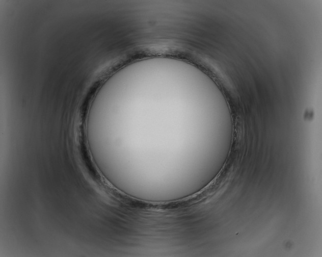 X0000101470590200807071221