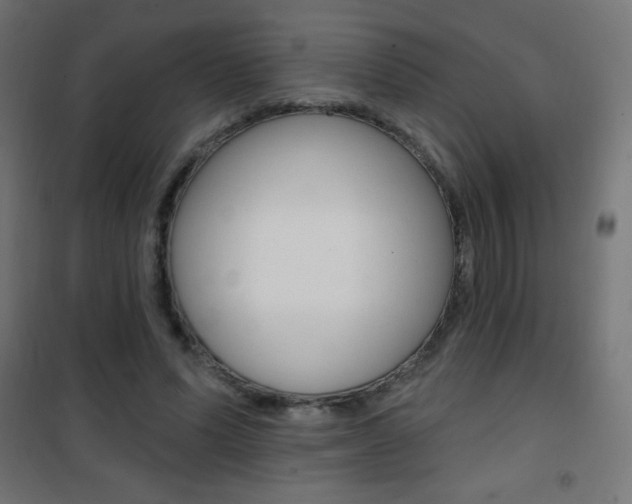 X0000101470591200807071221