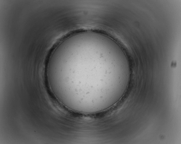 X0000101470592200807071221