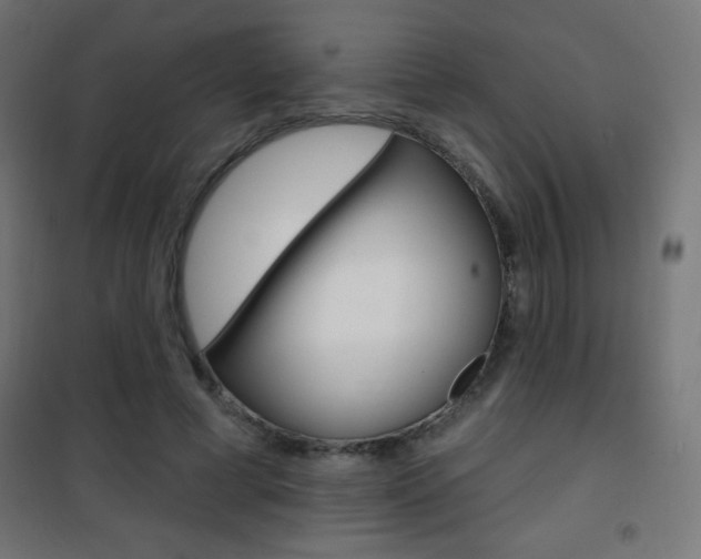 X0000101470593200807071221