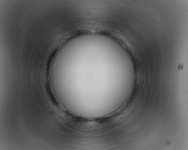 X0000101470594200807071221