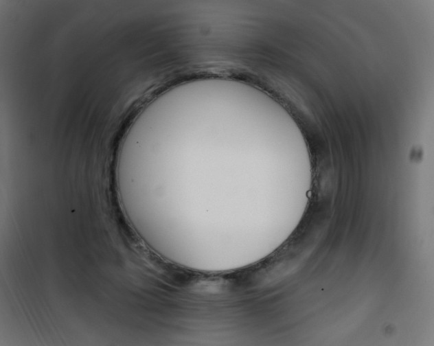 X0000101470595200807071221