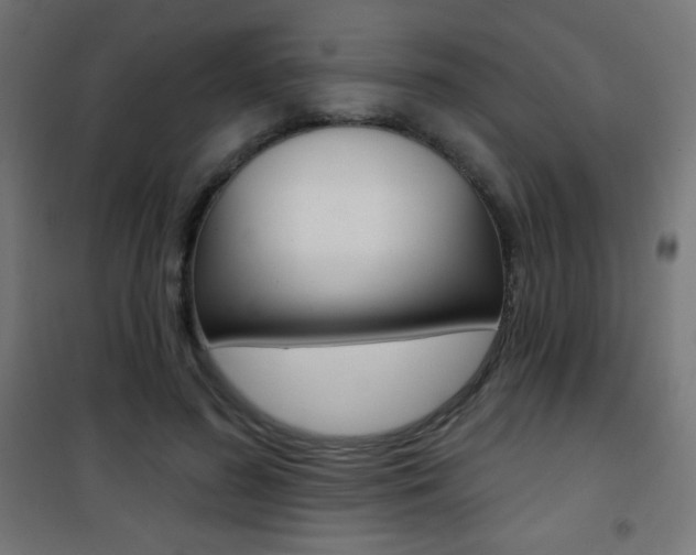 X0000101470596200807071221