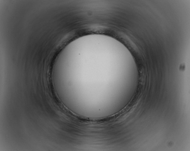 X0000101470597200807071221