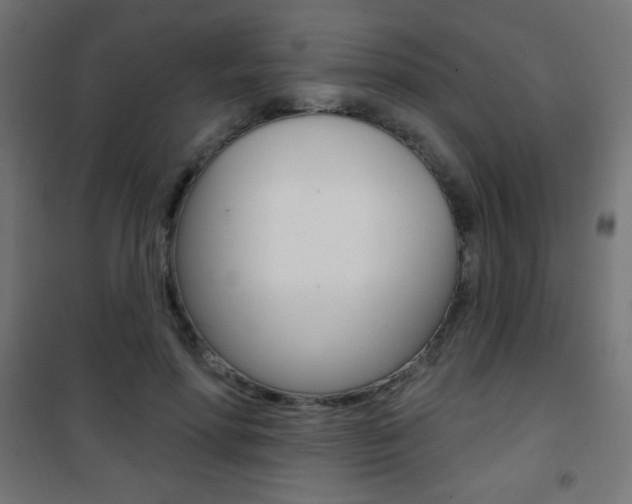 X0000101470598200807071221