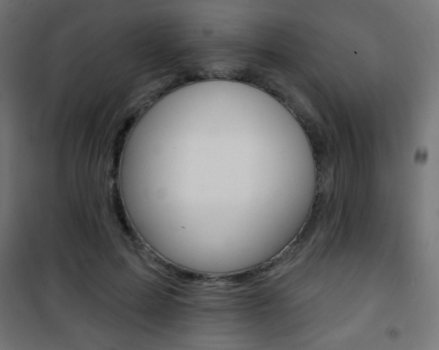 X0000101470599200807071221