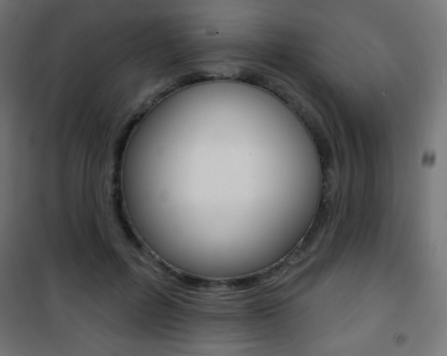 X0000101470600200807071221