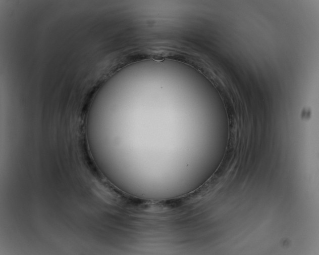 X0000101470601200807071221