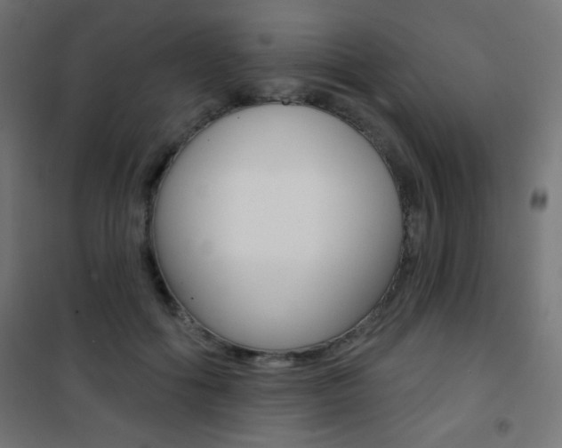 X0000101470602200807071221