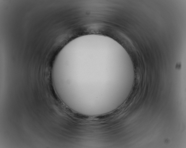 X0000101470603200807071221