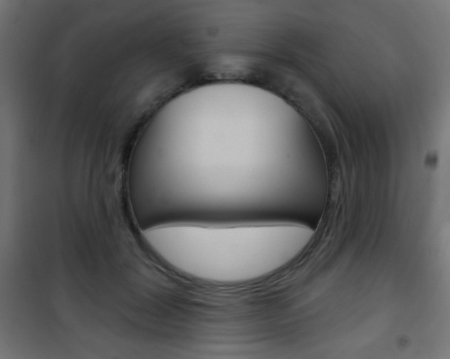 X0000101470604200807071221