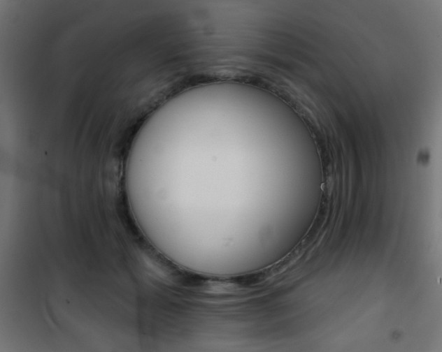 X0000101470605200807071221