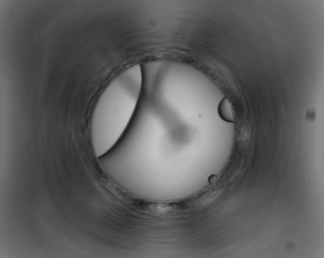 X0000101470607200807071221