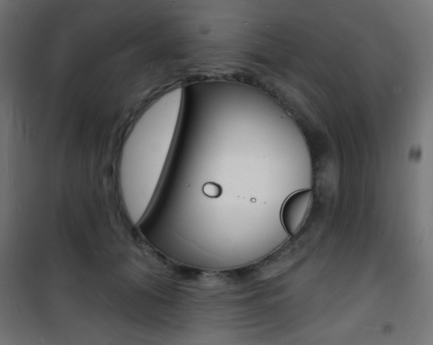 X0000101470608200807071221