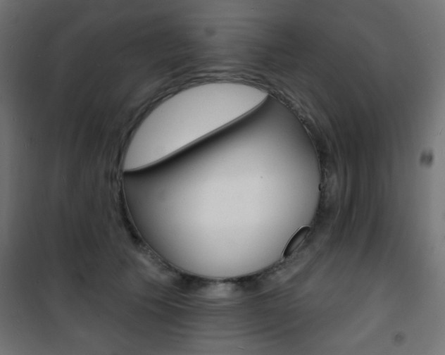 X0000101470609200807071221