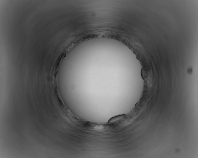 X0000101470611200807071221