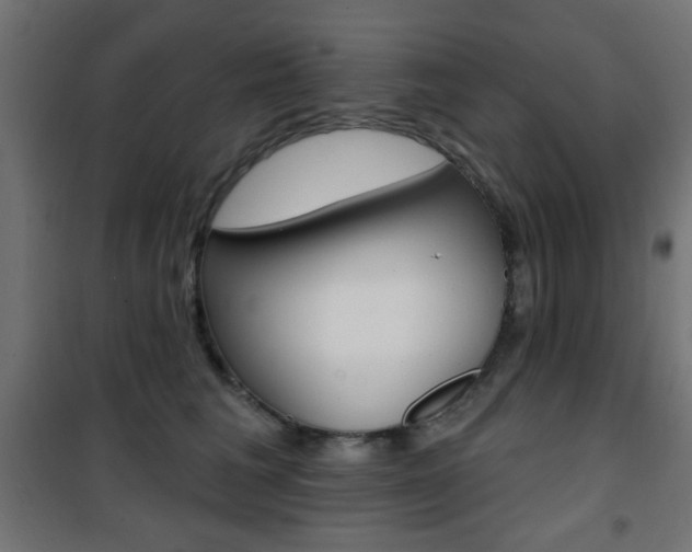 X0000101470613200807071221