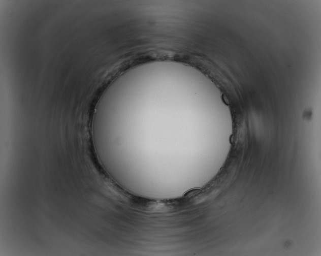 X0000101470616200807071221