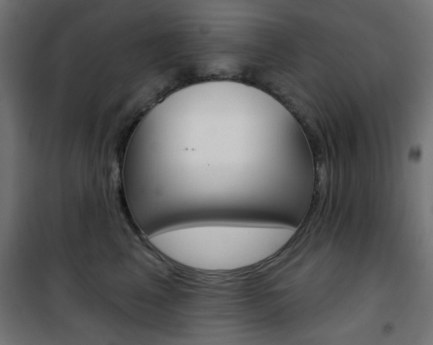 X0000101470617200807071221