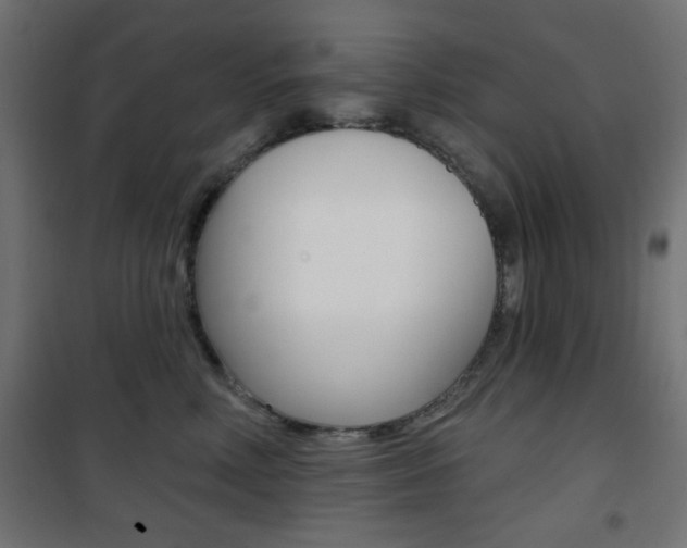 X0000101470618200807071221