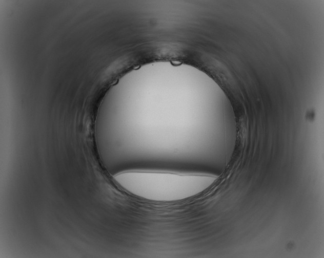 X0000101470619200807071220