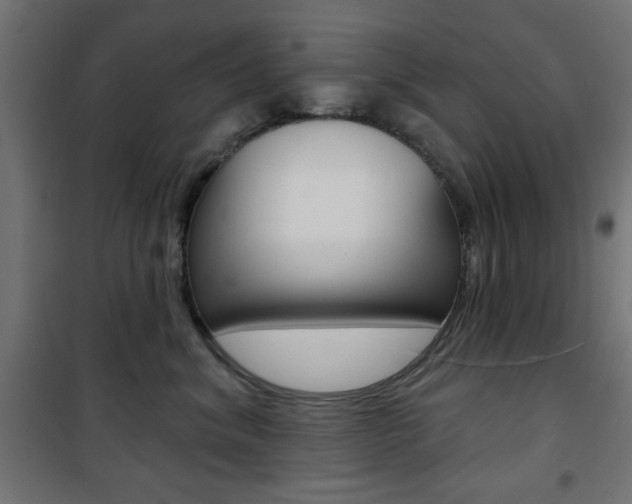 X0000101470620200807071220