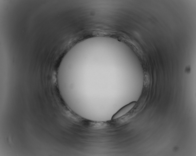 X0000101470621200807071220