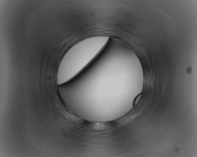 X0000101470623200807071220